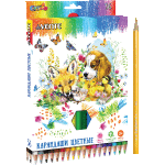 Карандаши цветные "deVENTE. Cosmo" 36 цветов, 2М, диаметр грифеля 2,8 мм, шестигранные, в картонной коробке